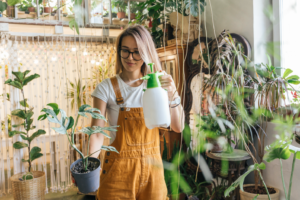 como cuidar das plantas