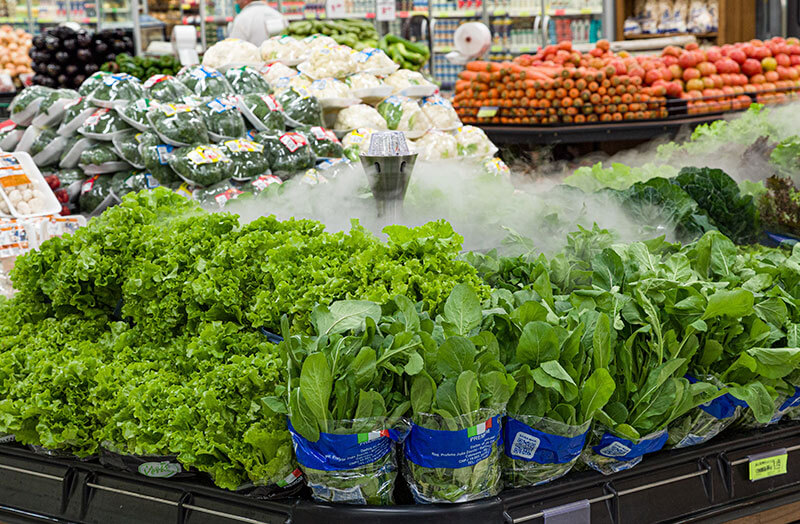 flores, frutas, legumes e verduras