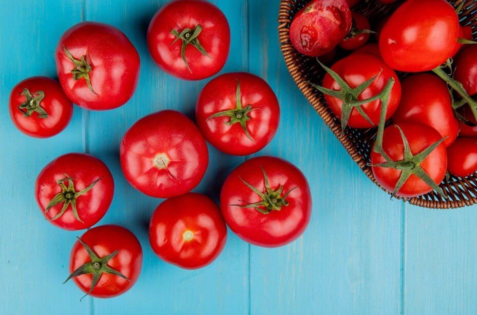 Vários exemplares de tomate de mesa e tomate italiano dispostos sobre uma superfície de madeira azul, com uma cesta de vime ao lado contendo mais frutos frescos.